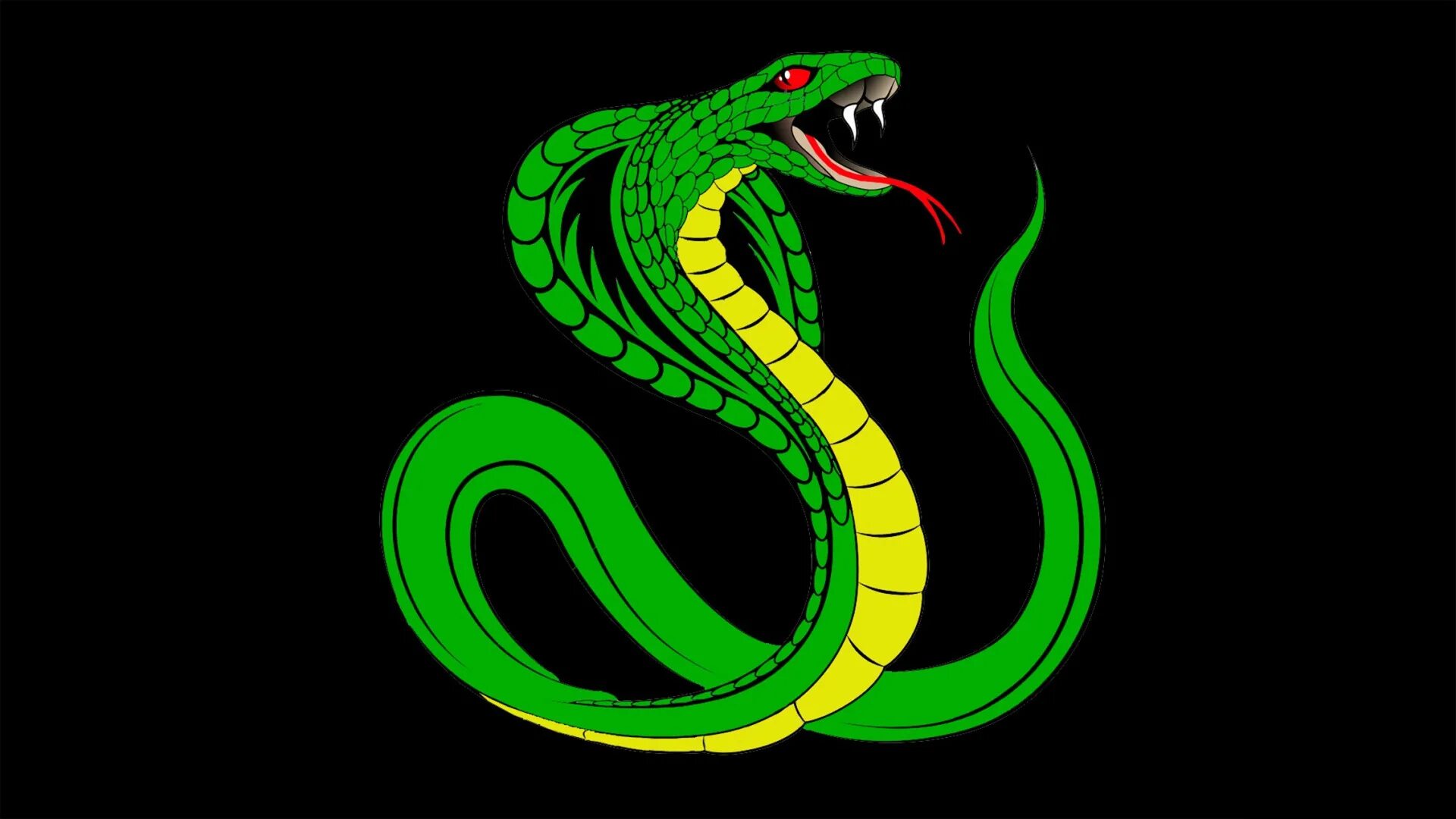 Snake x. Аватарка змеи. Зеленая змея арт. Змея на зеленом фоне. Змейка на черном фоне.