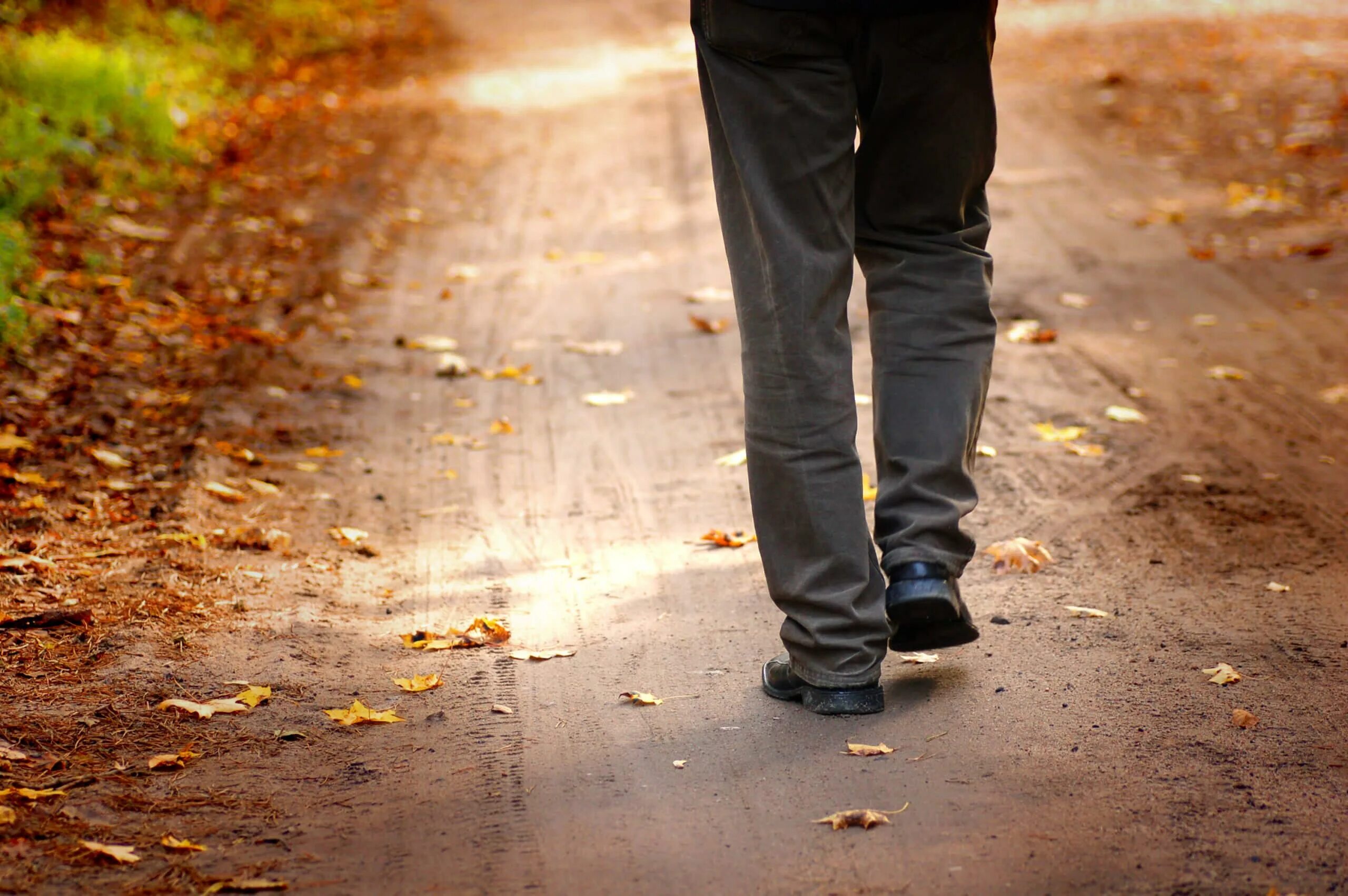 Walking check