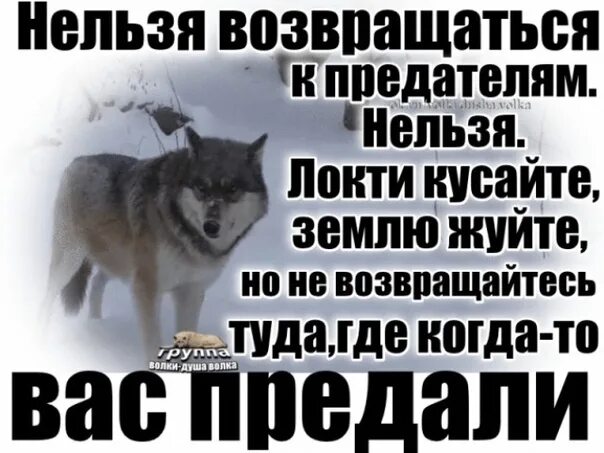 Никогда не возвращайтесь туда где. Нельзя возвращаться к предателям нельзя локти. Не возвращайтесь к предателям локти кусайте землю жуйте. Землю грызи но не возвращайся к предателям. Локти кусайте но не возвращайтесь к предателям.