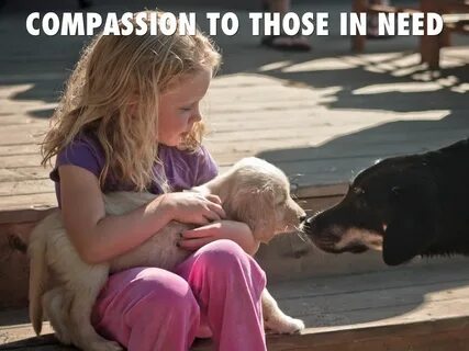 Love like a dog