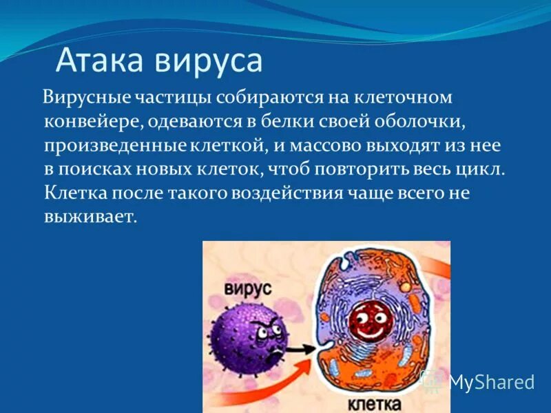 Тяжелые вирусные