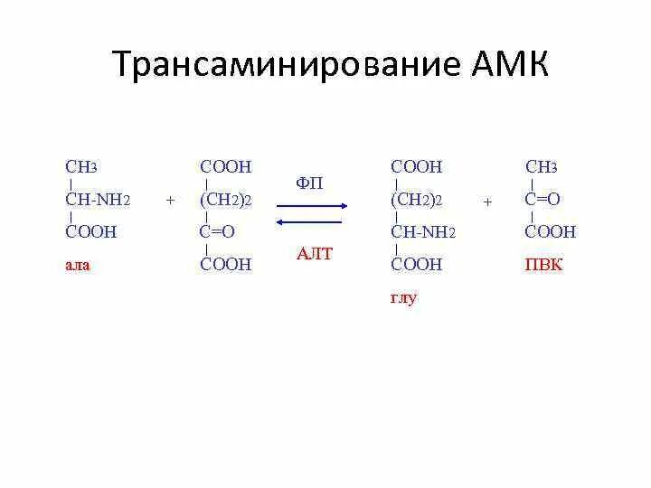 Ch ch ch cooh nh. Ch3 Ch nh2 Cooh. Ch3 Ch nh2 Cooh название вещества. Nh3ch2cooh. Ch2 Ch nh2 Cooh название.