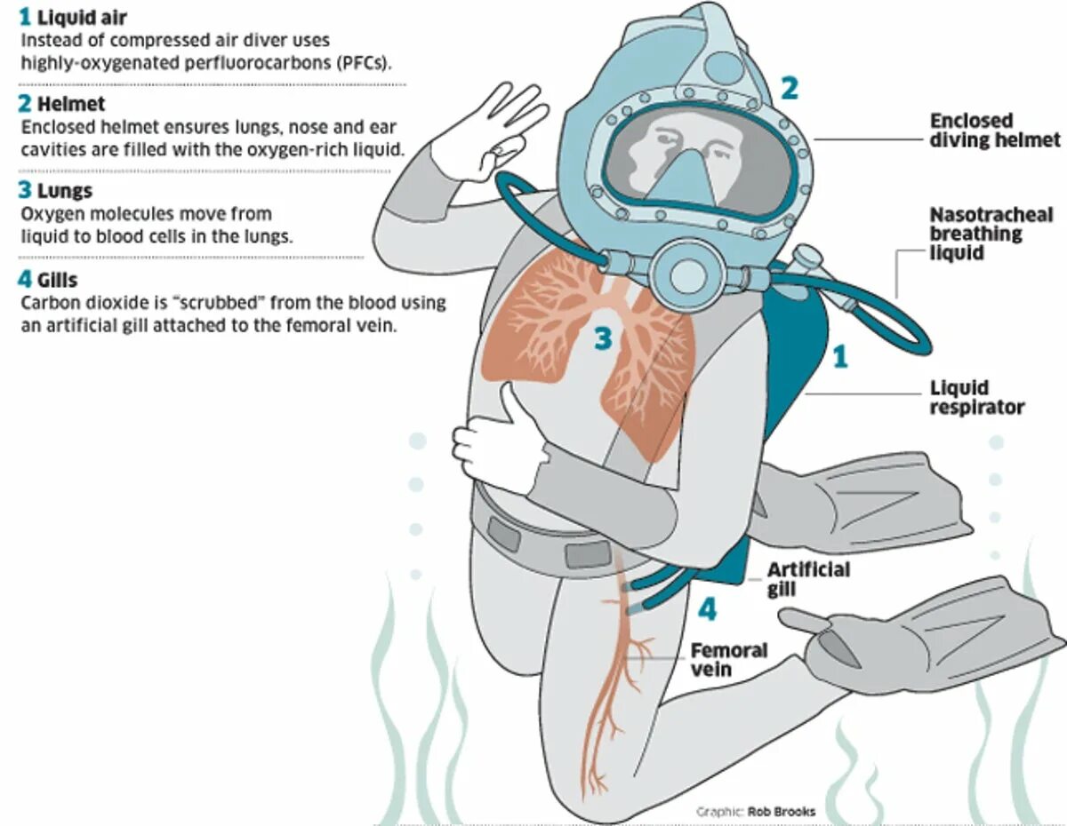 Декомпрессионная (кессонная) болезнь. Болезнь дайверов кессонная. Глубоководное погружение. Газ для дыхания водолазов
