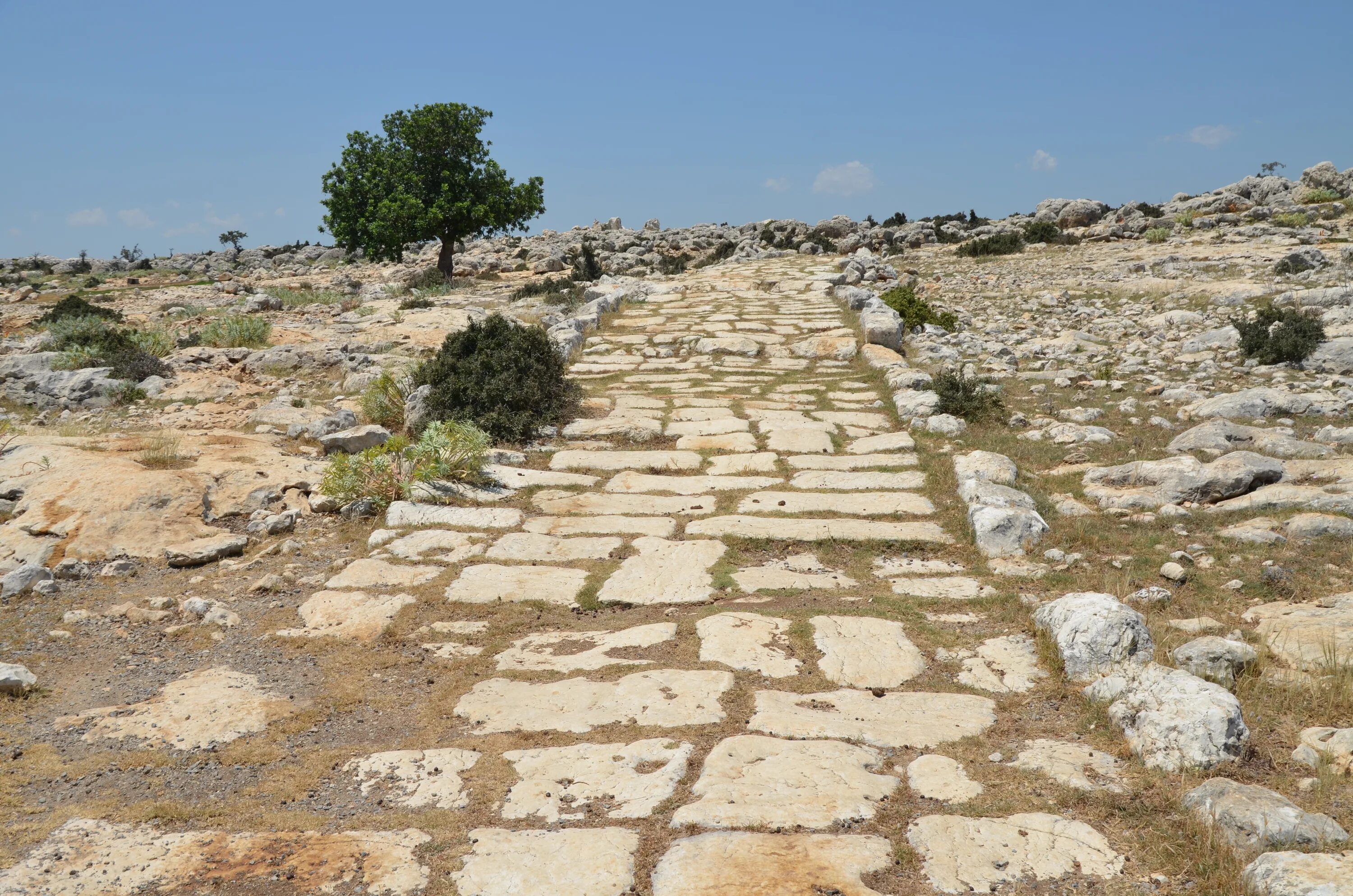 Дорогой древних 3. Древние дороги. Древние дороги Израиля. Ancient Road in Tarsus тарс. Соляная дорога древний Рим.