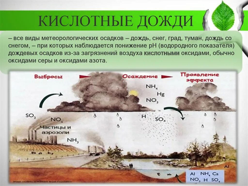 Причины появления газов. Химические соединения, образующие «кислотные дожди». Кислотные осадки. Причины образования кислотных осадков. Возникновение кислотных дождей.