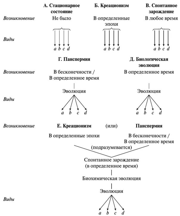 Стационарное происхождение. Схема видообразования по Дарвину. Видообразование по Дарвину. Типы видообразования по Дарвину. Эволюционный процесс видообразования по ч Дарвину.