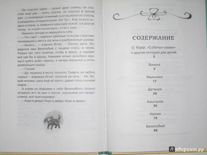 Диктант история каштанки. Чехов каштанка сколько страниц. Сколько страниц в рассказе каштанка Чехова. Каштанка сколько страниц. Каштанка количество страниц.