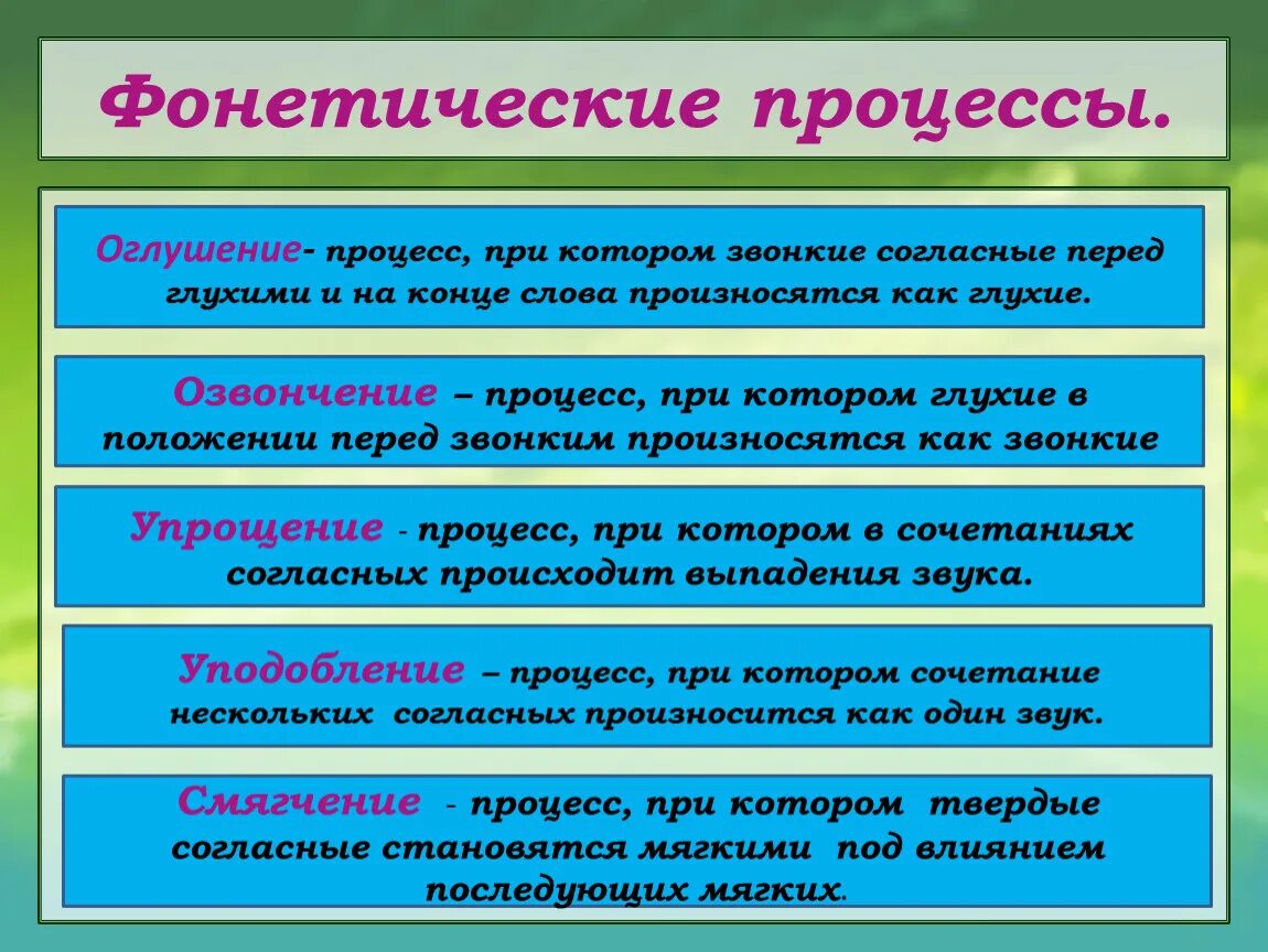 Фонетический процесс слова. Фонетические процессы. Фонетические процессы в русском языке. Фонетические процессы, происходящие в слове.. Фонетические процессы русского языка кратко.