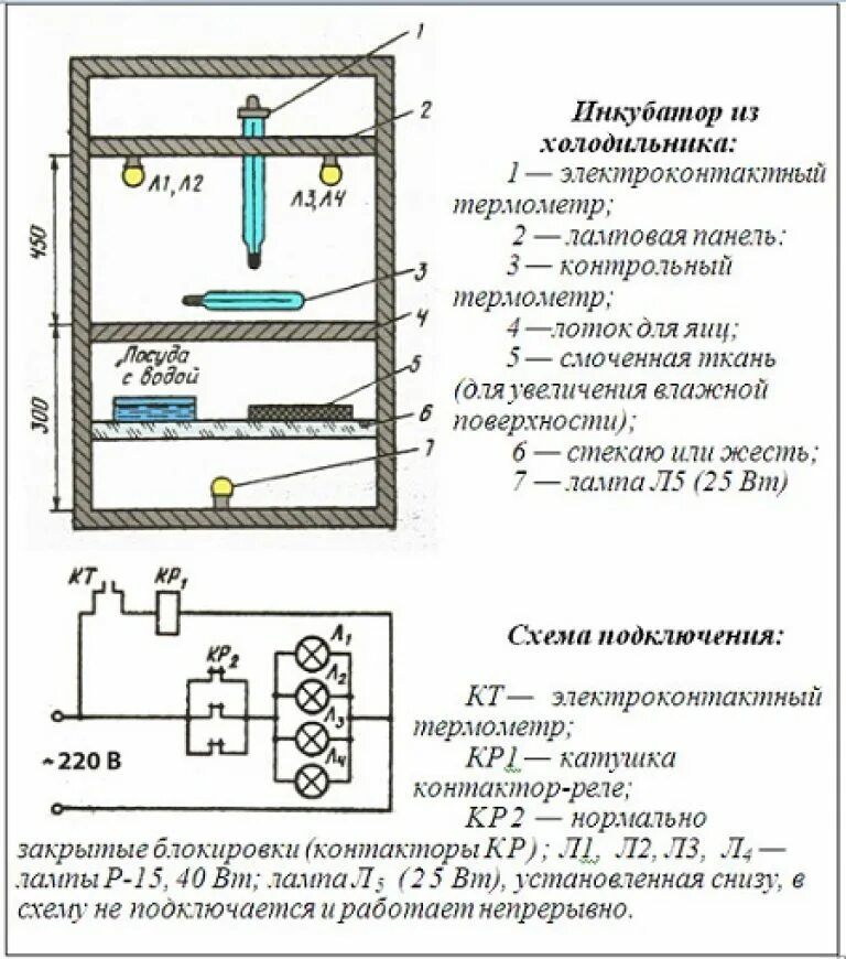 Электрическая схема переворота яиц в инкубаторе. Схема автоматического переворота яиц в инкубаторе. Электрическая схема подключения переворота яиц в инкубаторе. Схема подключения механизма переворота яиц. Инкубатор схема электрическая