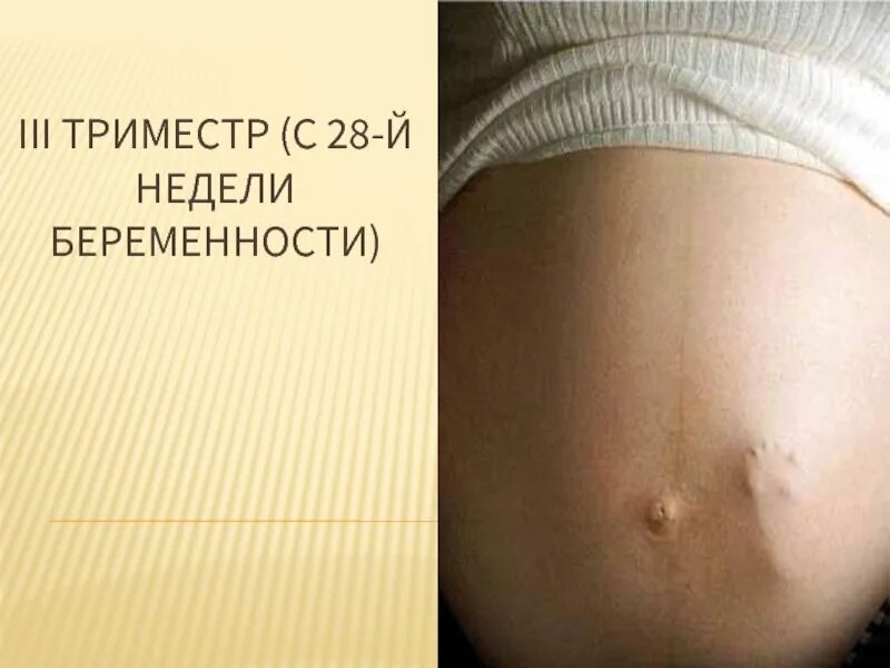 Второй триместр беременности. Триместры беременности. Первый триместр беременности. 2-3 Триместр беременности.