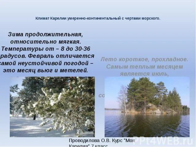 Какая зима в умеренно континентальном климате. Какая зима в умеренно континентальном климате
