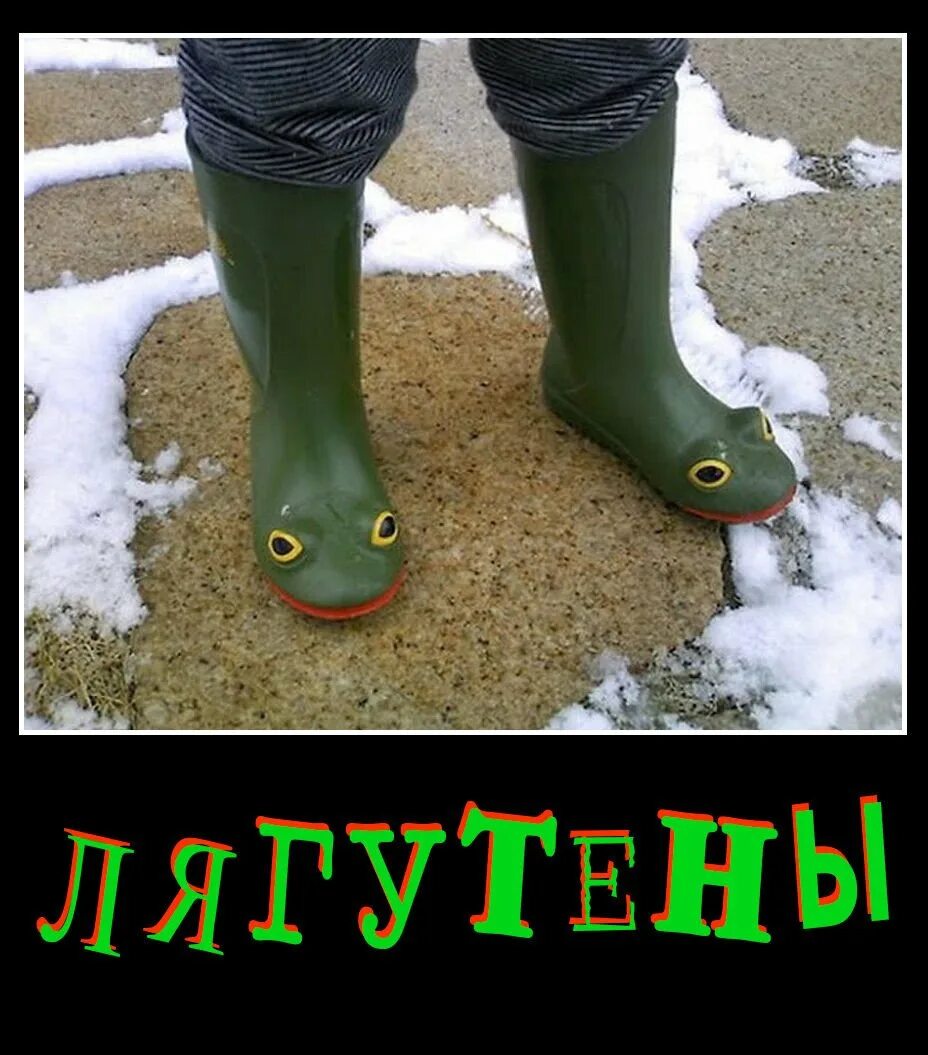 Ботинки приколы. Сапоги лягушки лягутены. Сапоги лягушки раст. Прикольная обувь. Резиновые сапоги юмор.