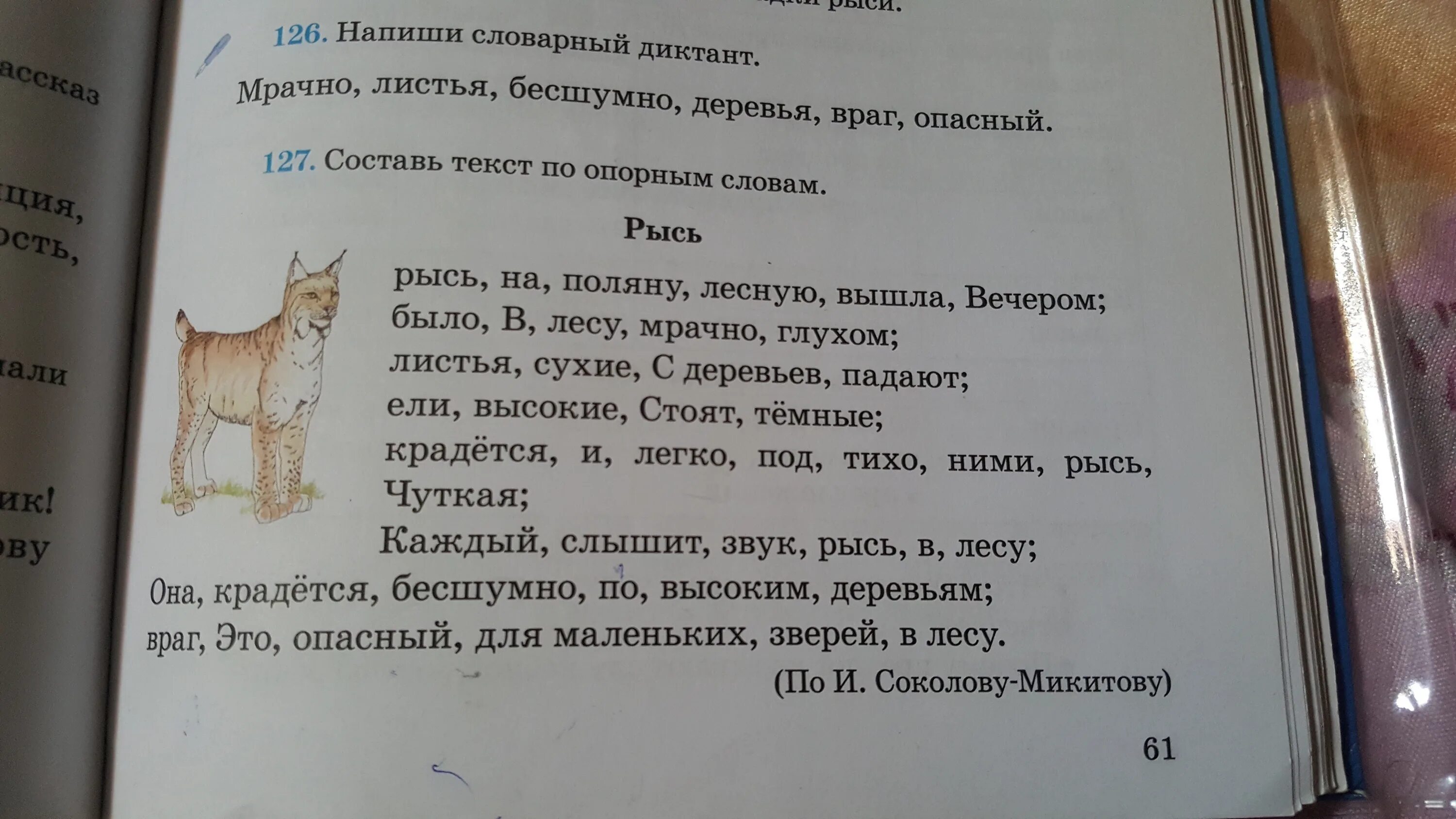 Ночь идет тихая впр. Диктант Рысь. Диктант Рысь 4 класс. Рысь диктант 1 класс. Диктант Рысь 3 класс.