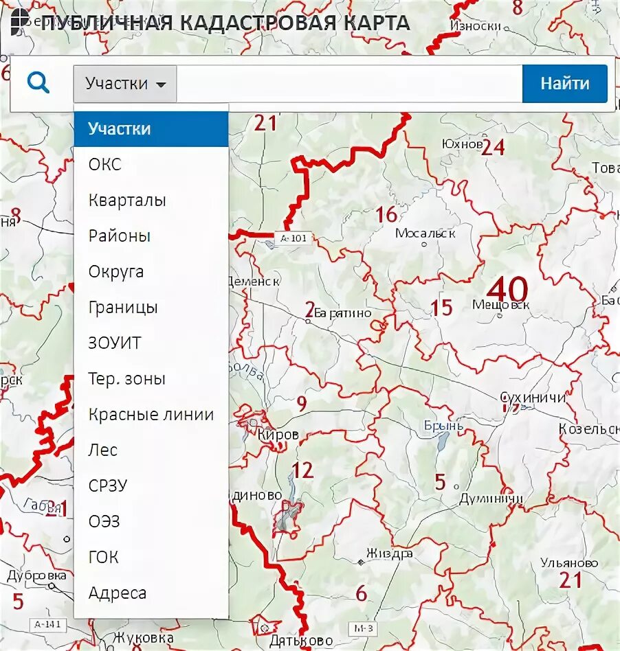 Кадастровая карта публичная Тульская область 2023 года. Кадастровая карта Тульской области 2021. Публичная кадастровая карта Тульской области. Кадастровая карта Тула 2022.