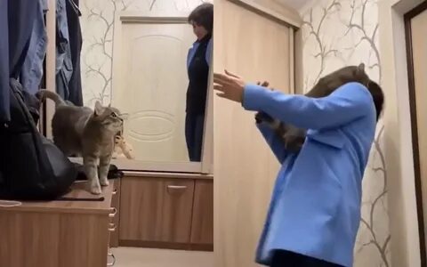 Отказались отпускать