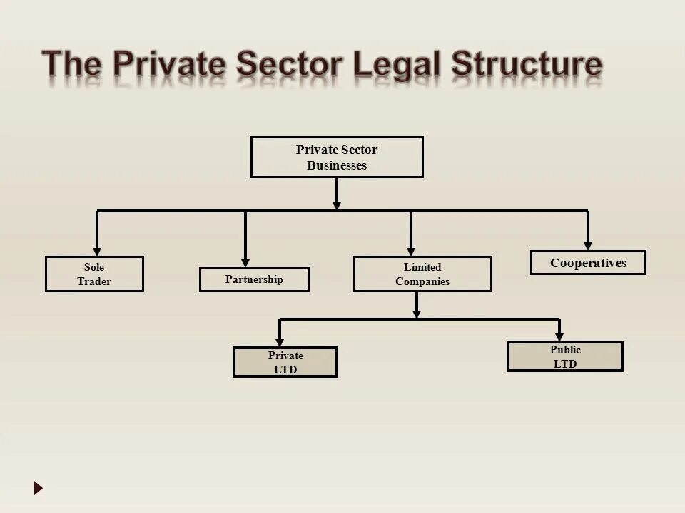 Private sector. Private sectors of Businesses. Структура soled. Private sector табличка.