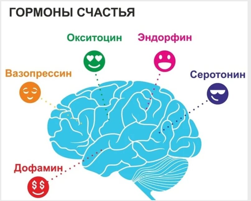 Выброс эндорфина почему так больно сильно. Гормоны счастья серотонин дофамин Эндорфин. Дофамин серотонин Эндорфин окситоцин. Гормоны радости и счастья. Гормон счастья вырабатывается.