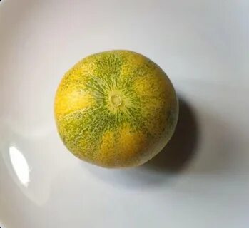 Дыня клубника