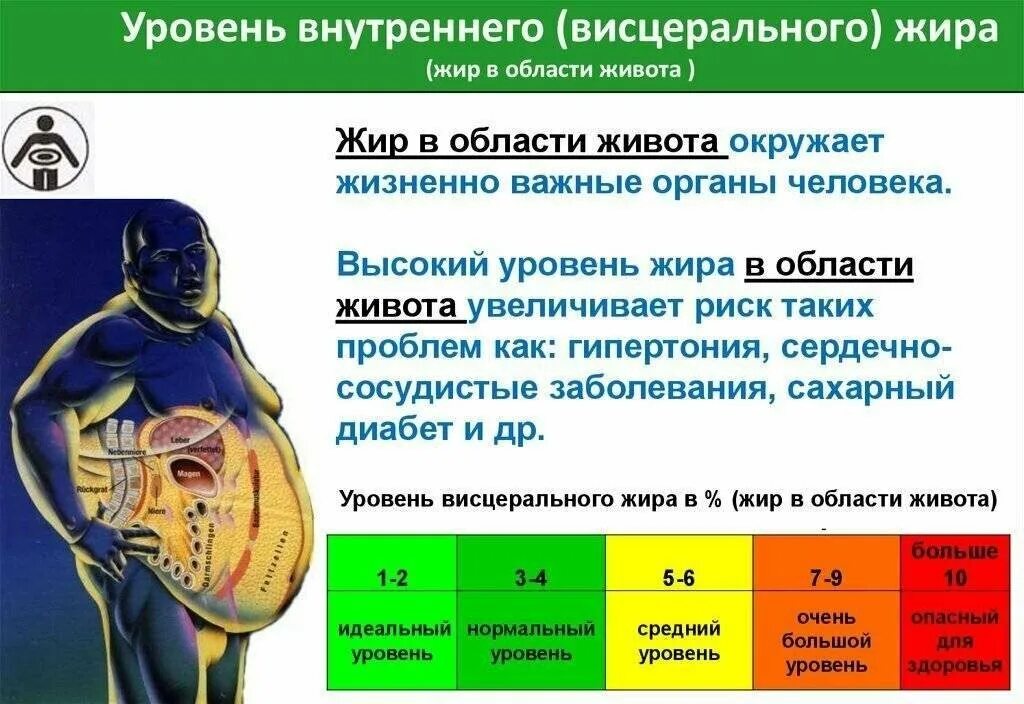 Как уменьшить жир в организме. Уровень висцерального жира. уровень висцерального жира норма. висцеральный жир показатели.
