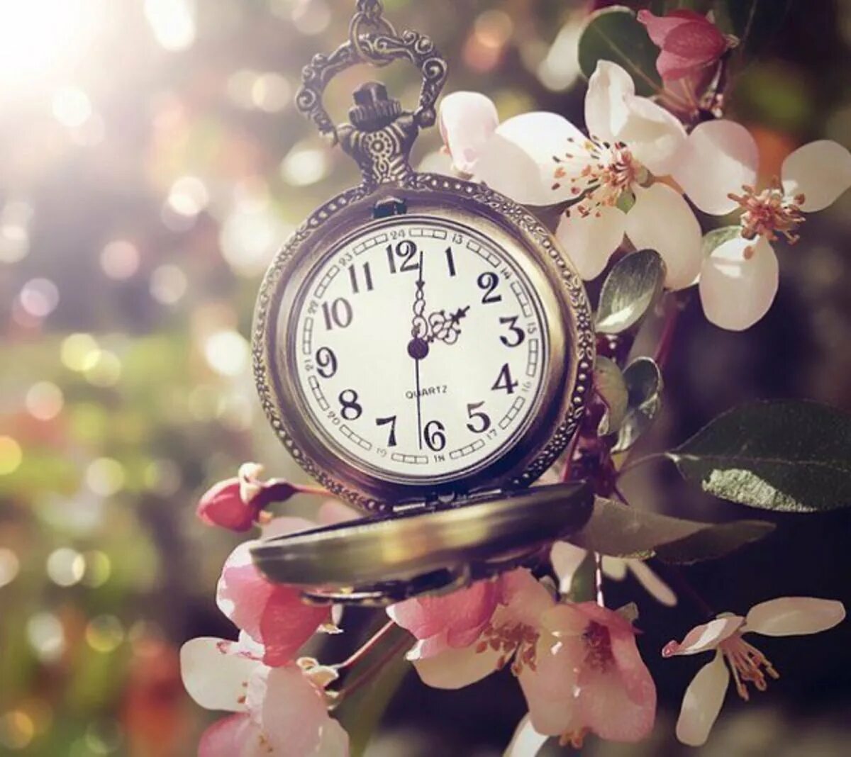 It s flower time