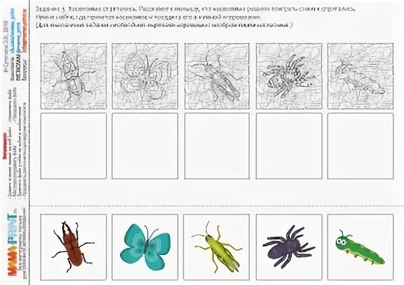 Календарное планирование в средней насекомые. Наблюдение за насекомыми в средней группе зарисовки.
