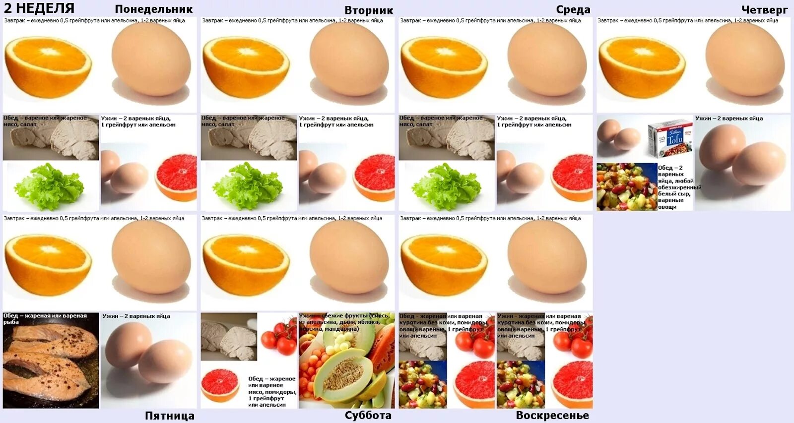 Едят ли яйца при похудении. Яично апельсиновая диета Магги. Химическая диета Магги на 4 недели меню. Диета на яйцах. Диета яйца с апельсинами.