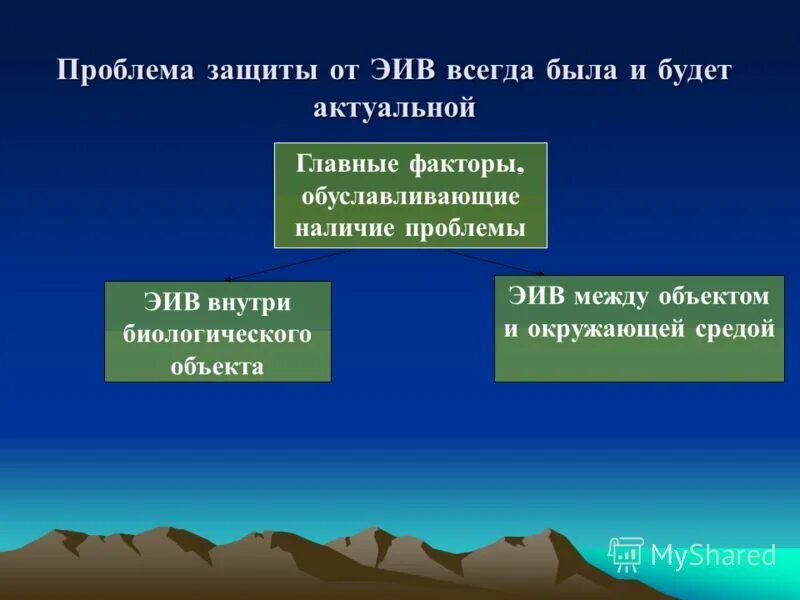 Проблема защиты. Проблема защиты