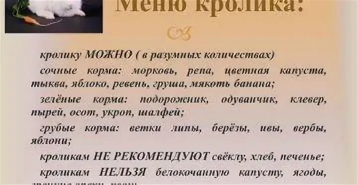 Можно кроликам бумагу
