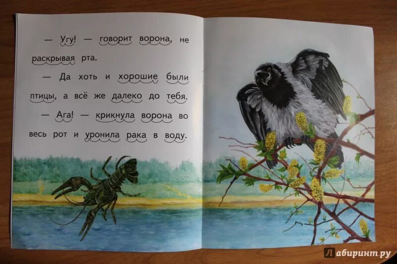 Рассказ ворон и сорока. Сказка про ворону. Ушинский ворона. Художественные произведения про ворону. Стихотворение про ворону.