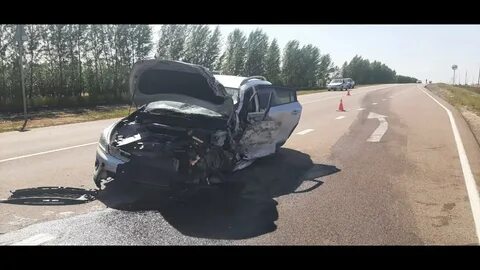 Курская область последние новости на 17 августа