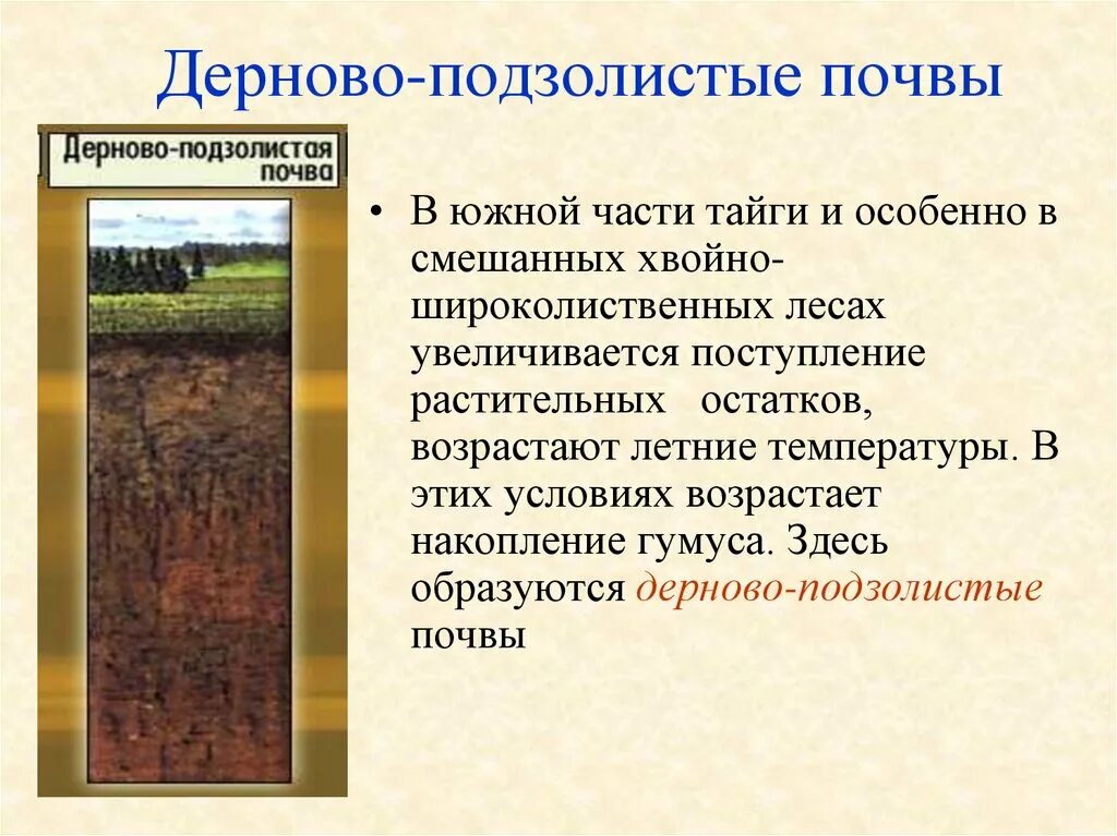 Какие почвы относятся к азональным типам подзолистые. Дерново-подзолистые почвы в России. Строение профиля дерново-подзолистой пахотной почвы. Почвенный профиль дерново-подзолистых почв. Характеристика почвы дерново подзолистые почвы.