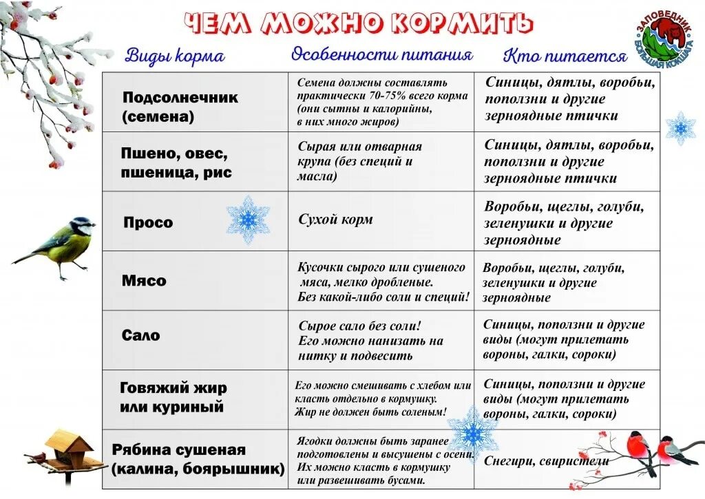 Что можно птицам зимой. Проект Покорми птиц зимрй. Таблица зимующие птицы и их. Акция подкормка птиц зимой. Покормите птиц зимой.