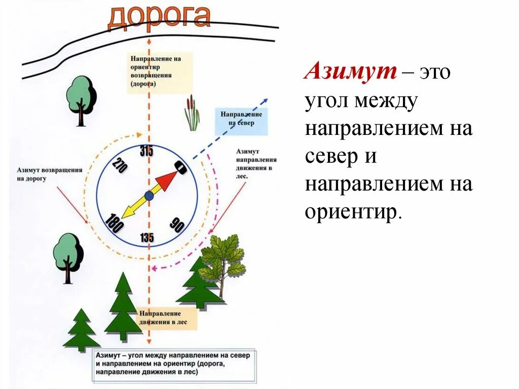 Определения местоположения на местности. Ориентирование на местности стороны горизонта Азимут. Ориентирование на местности по карте и компасу Азимут. Азимут компас способы ориентирования на местности. Ориентирование по компасу и карте ОБЖ.