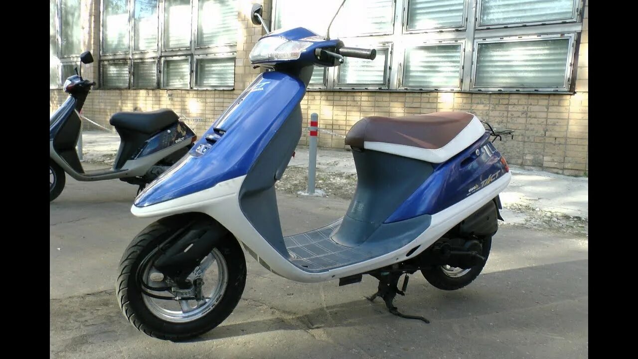 Honda Tact 50 (af 24). Скутер Honda Tact af24. Хонда Tact af 24. Хонда Tact af 50. Скутер хонда 24