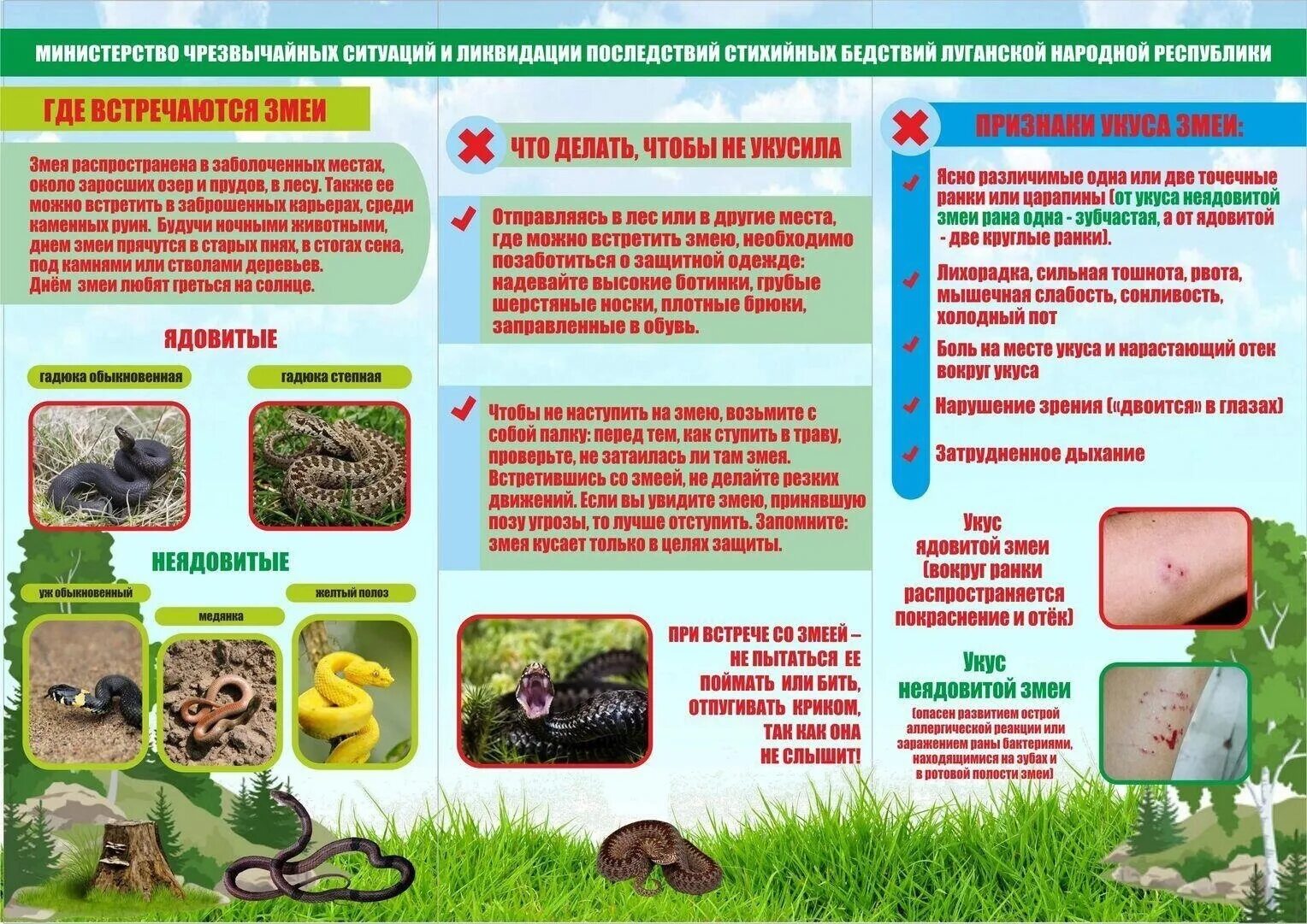 Что сделать с гадюкой. Осторожно змеи памятка для родителей. Буклет профилактика укуса змеи. Профилактика при укусах змей. Памятка по змеям.