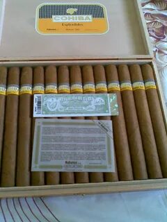 Cohiba cuba