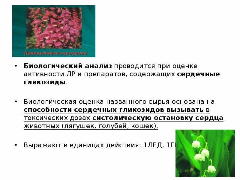 Лекарственное растительное сырье характеристика. Гликозиды в растениях. Биологический анализ. Сердечные гликозиды растения. ЛРС содержащие сердечные гликозиды.