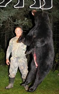 How big is a bear's penis - Best adult videos and photos