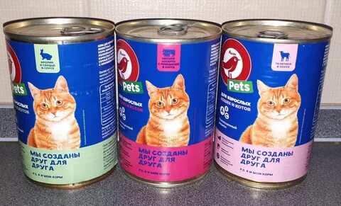 Корм kissa отзывы