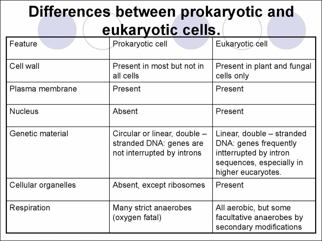 Comparison of different. Prokaryotic and eukaryotic Cells. Differences between prokaryotic and eukaryotic Cells. Differences between eukaryotes and prokaryotes. The difference of eukaryotic and prokaryotic Cells.
