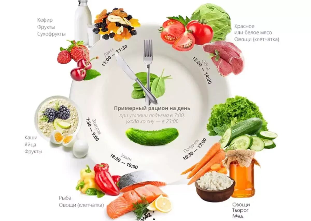 Сбалансированное питание на день меню. Примерный рацион правильного питания для похудения на каждый день. Как составить правильно рацион по питанию для снижения веса. Схема ПП питания для похудения. Рацион на день по времени правильного питания.