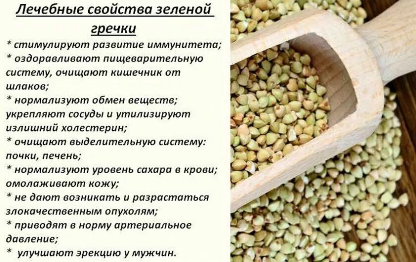 Диабет можно есть гречку. Гречка зелёная. Зелёная гречка полезные. Зеленая гречка польза. Польза гречки.