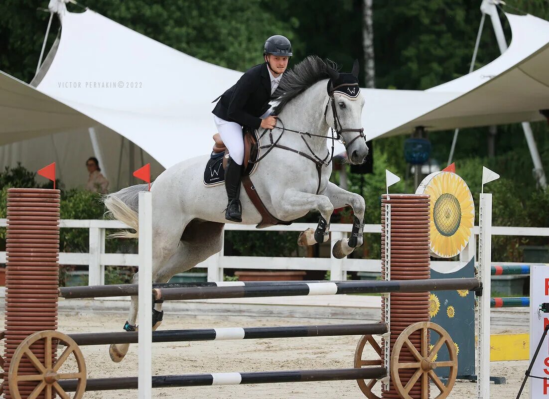 кск отрада пробеги. конный комплекс отрада. в отраде ждали. кск отрада выездка. в отраде ждали.