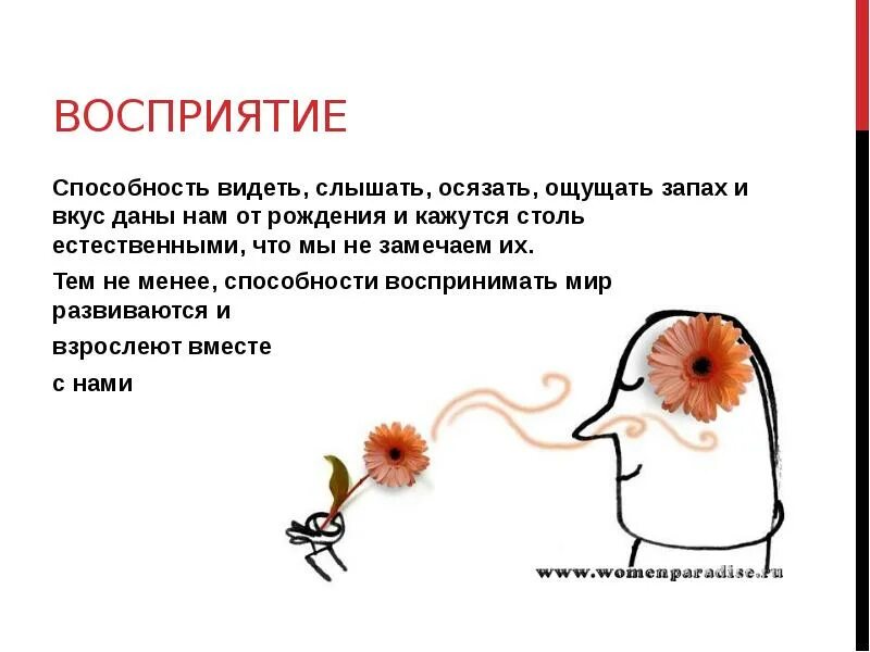 Будете слышать и видеть все. Видеть слышать осязать. Способности воспринимать вкус и запах связаны между собой. Способности восприятия запаха человеком. Способность чувствовать запахи слышать звуки.