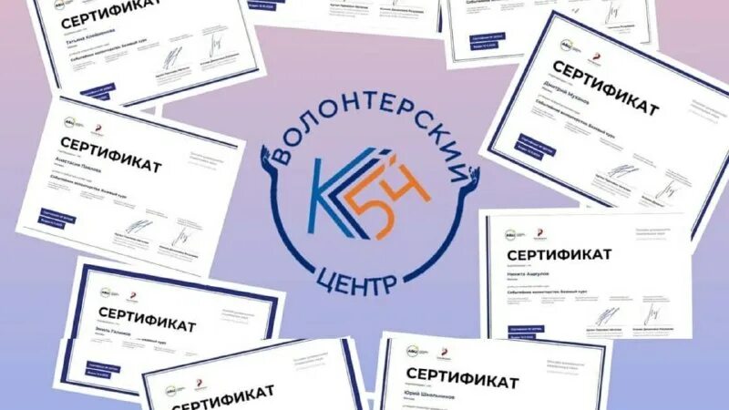 каковы основные направления программы мобильности волонтеров?. событийное волонтерство примеры. волонтерские движения в россии самые известные. добровольческая структура центров добровольчества. волонтёрство виды.