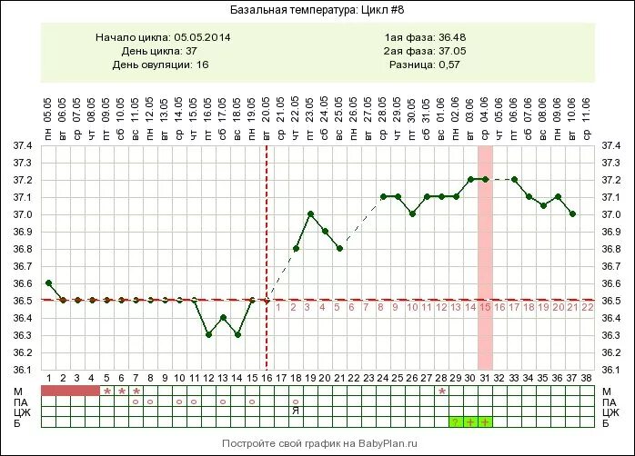 Базальная температура отзывы. График БТ многоплодной беременности. Овуляторный график базальной температуры. График БТ беременный двойней. БТ беременный график при 28дц.
