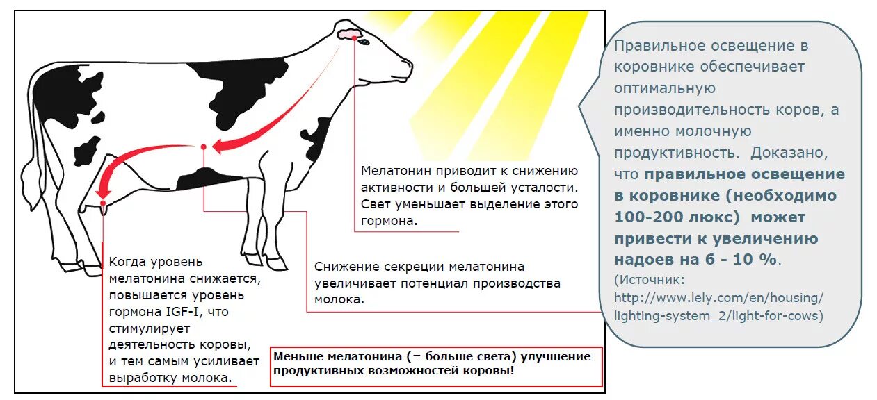 Физическое состояние животного. Показатели молочной продуктивности коров. Крупный рогатый скот показатели продуктивности. Продуктивность коров по лактациям. Молочная продуктивность крупнорогатого скота.