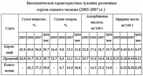 Сколько чеснока на 1 сотку