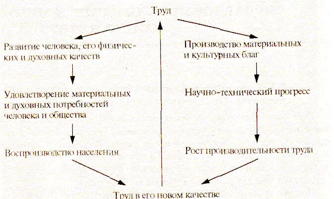 Какого роль труда в современном обществе