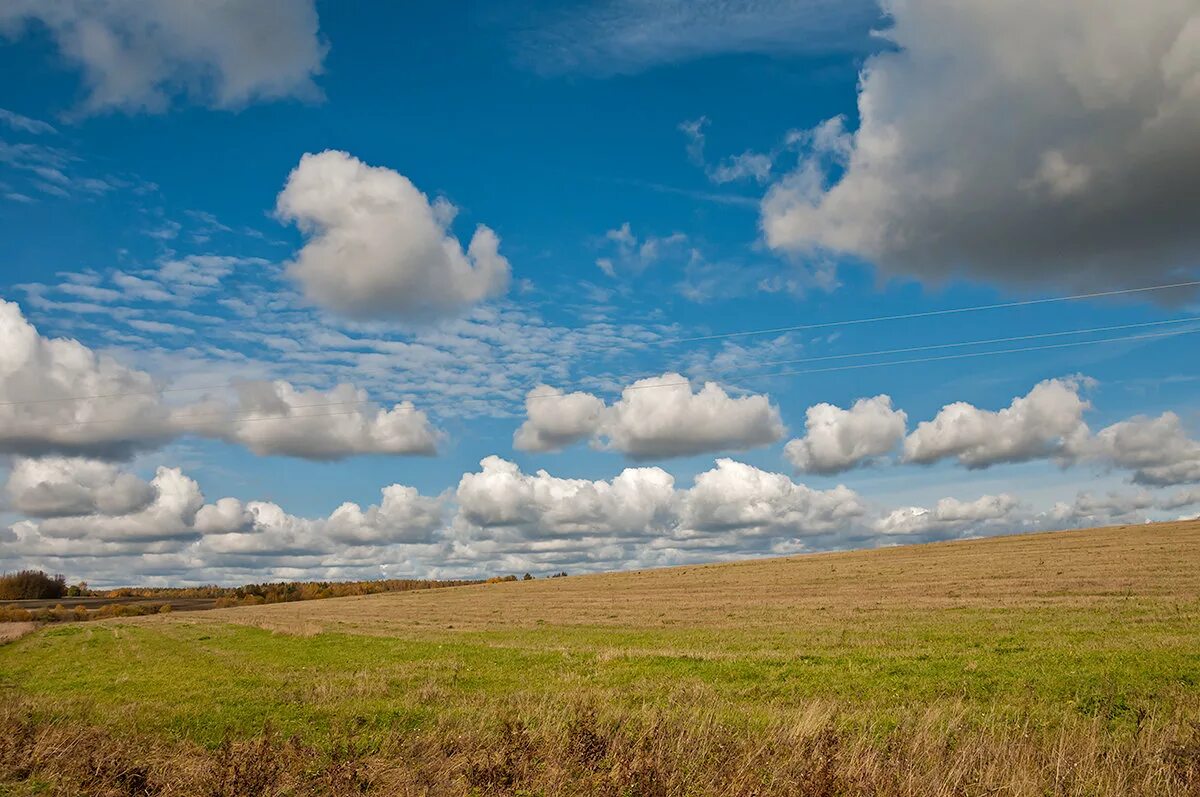 Грозовые тучи. Облака над полем. Облака облака облака над полями. Поле облака. Летние кучевые облака над полем.